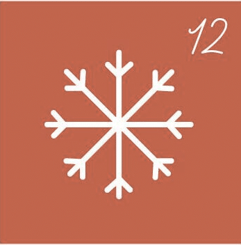 icon 12