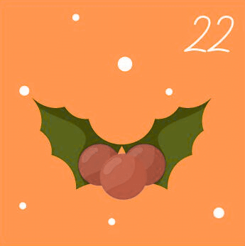 icon 22